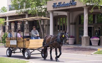 Horse drawn carriage in front of The Boulevard Inn