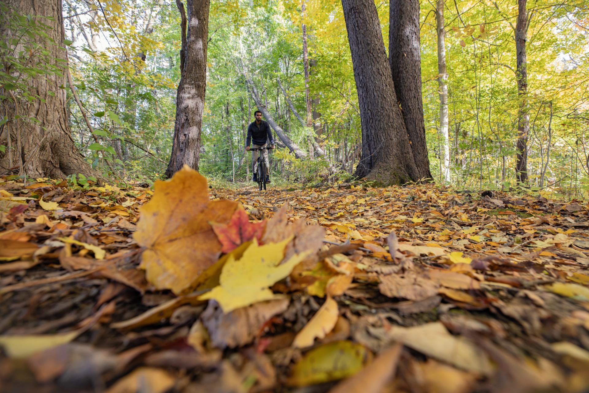 A person bikes the trails at Andrews University.