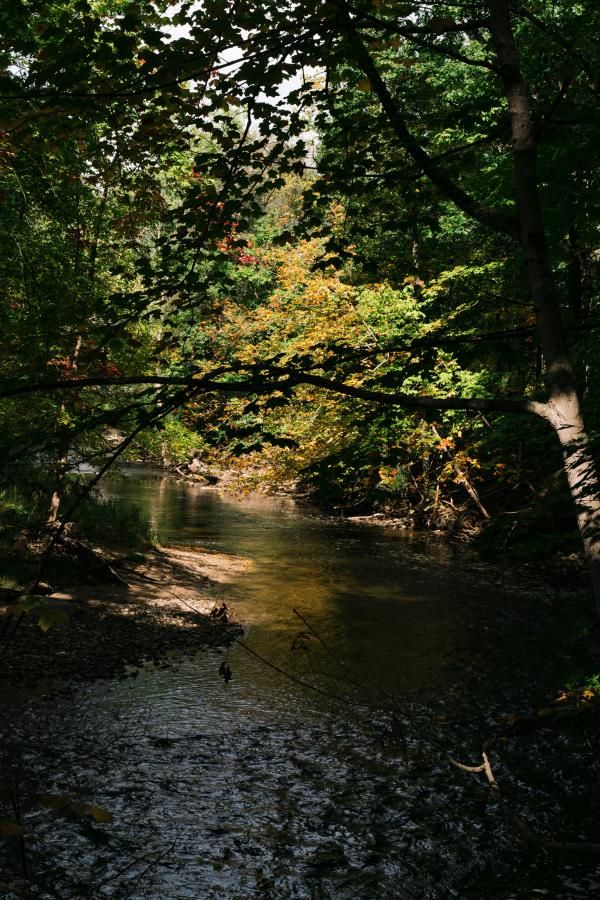 A narrow stretch of river. 