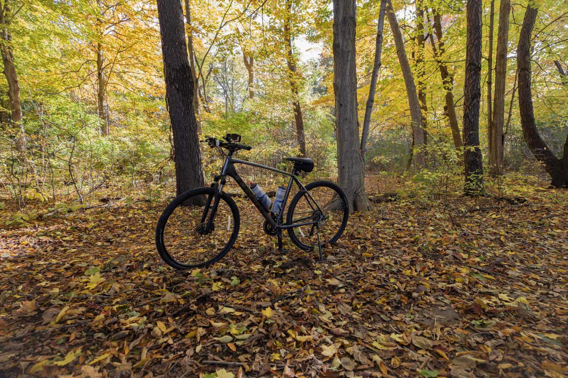 A bike along a trail in the fall.