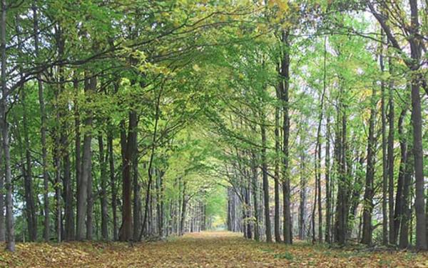 Kal-Haven Trail State Park
