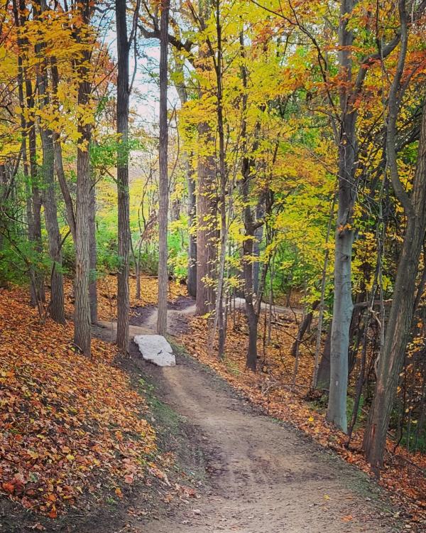 Lakeview Bike Trail