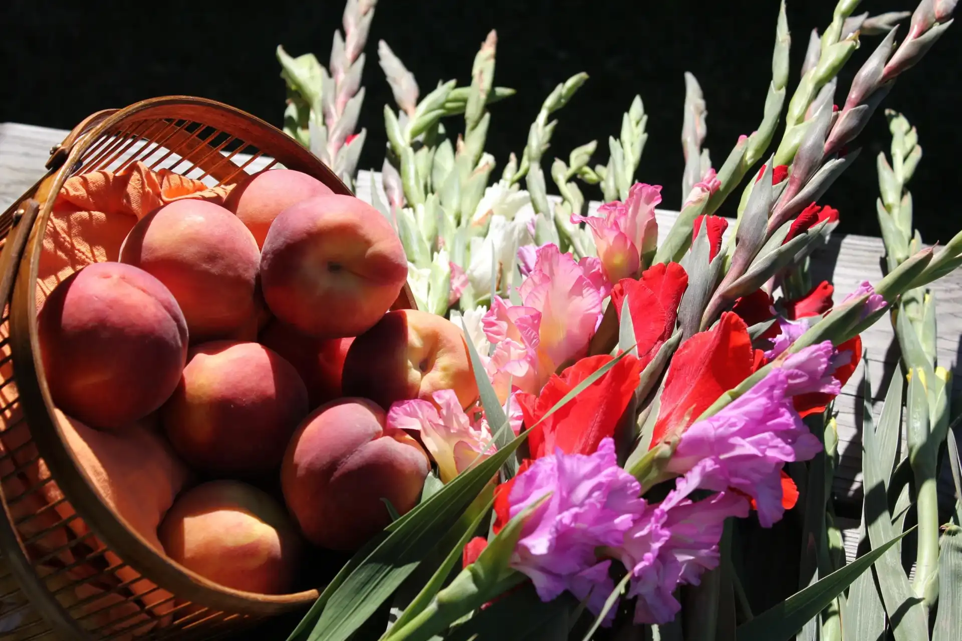 Coloma GladPeach Festival Southwestern Michigan Tourist Council