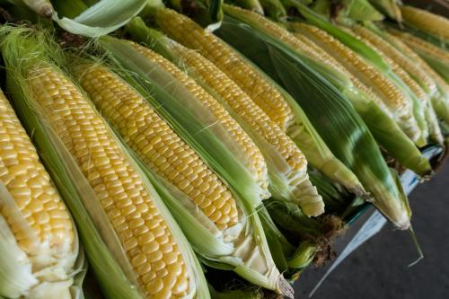 Sweet corn.
