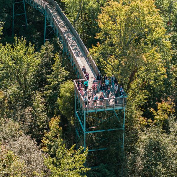 Drone shot of the Sarett Nature Center tree walkway 