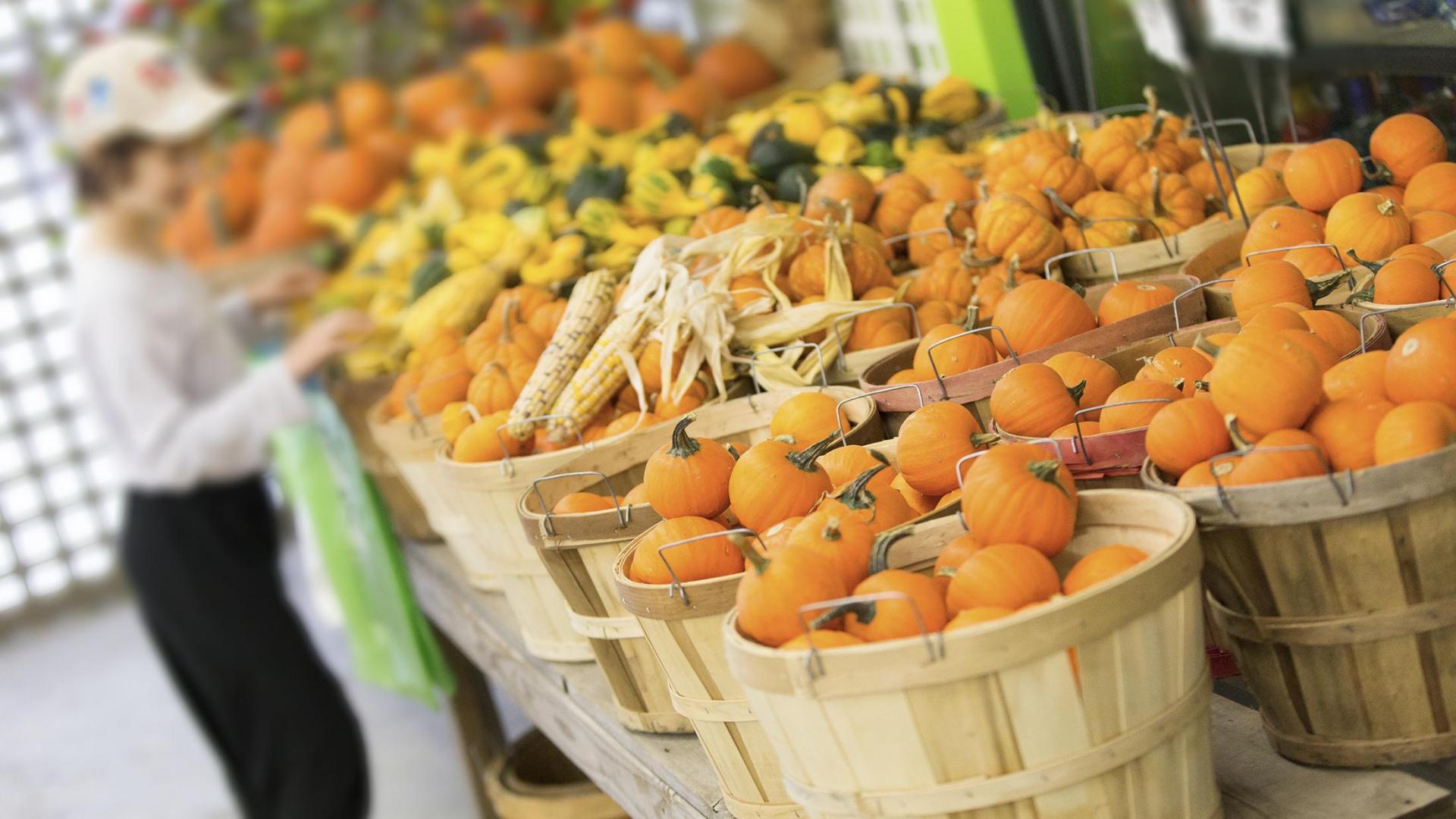 A child looking at fall produce.