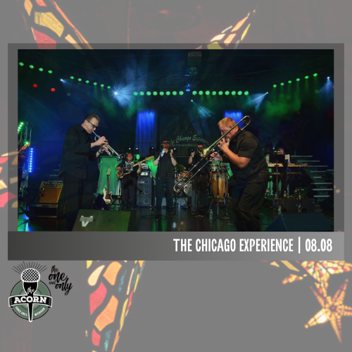 Chicago Experience