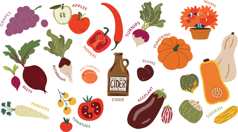 Fall produce