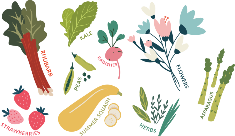 Spring produce