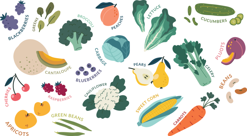 Summer produce