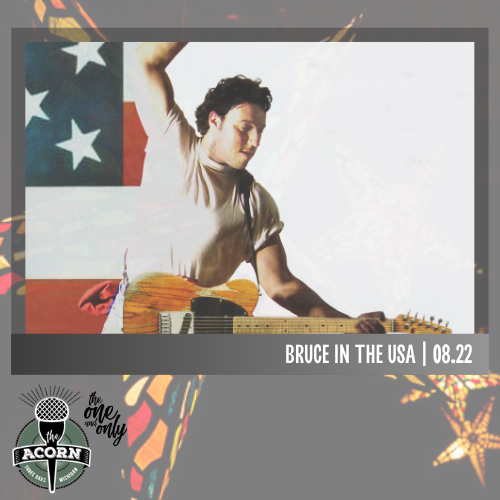 Bruce In The USA