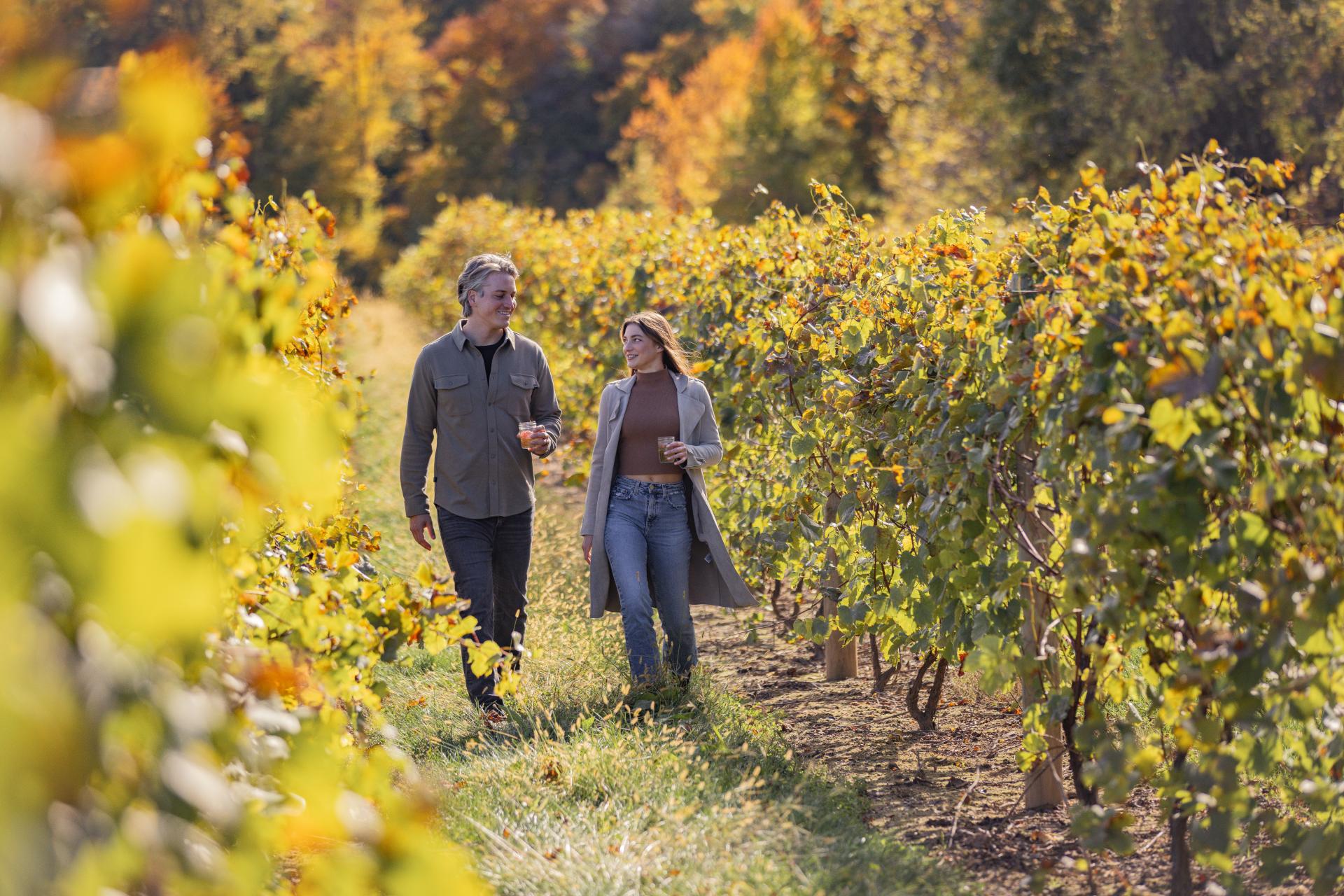 Couple walking at Baroda winery