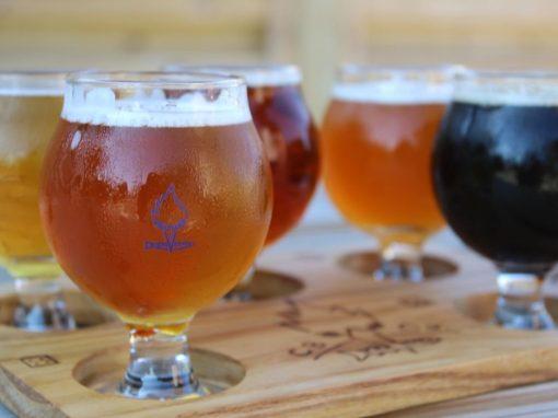 Cassopolis Beer Co