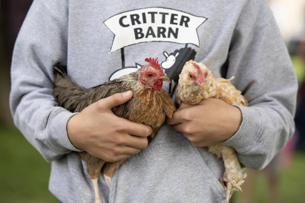 Critter Barn
