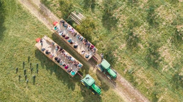Jollay Orchards Tractors