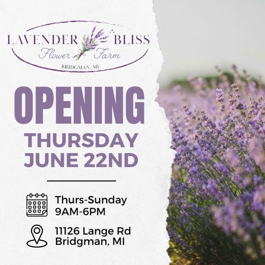 Lavender Bliss Flower Farm grand opening