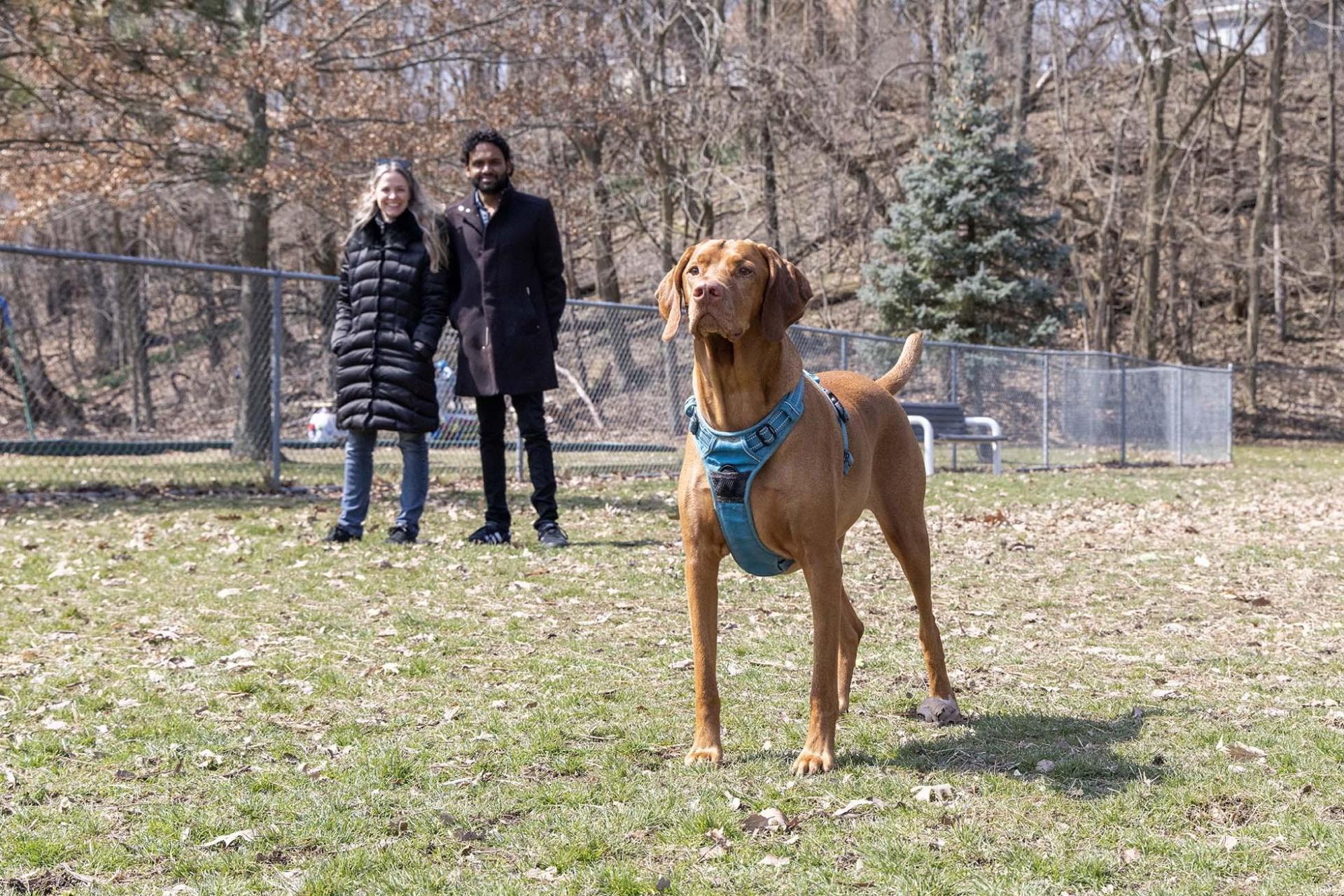 Dog park at Kiwanis.