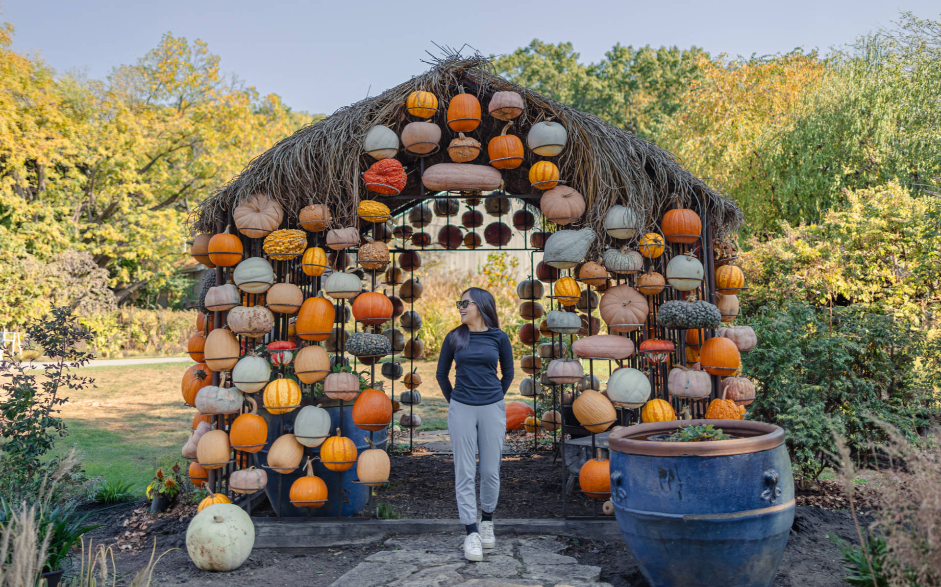 Fernwood pumpkins 