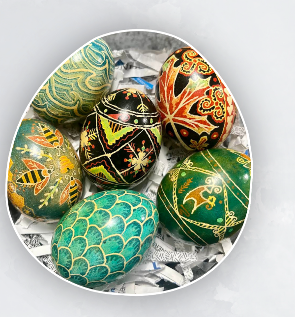 Egg Class