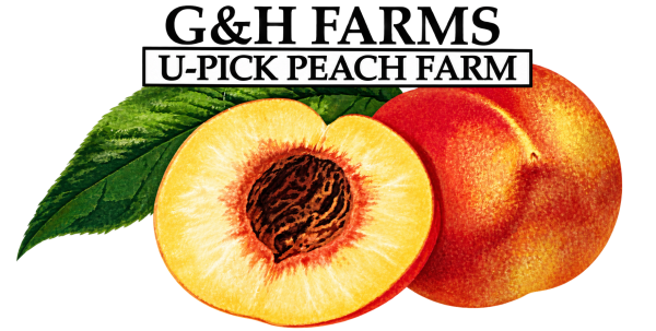G&H Farms Logo