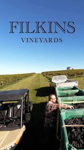 Winery in Southwest Michigan 