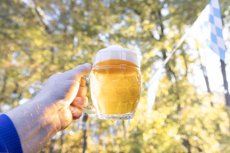 A person raises a glass of beer against a backdrop of vibrant fall foliage, as the sunlight illuminates the brew with a warm, golden glow.
