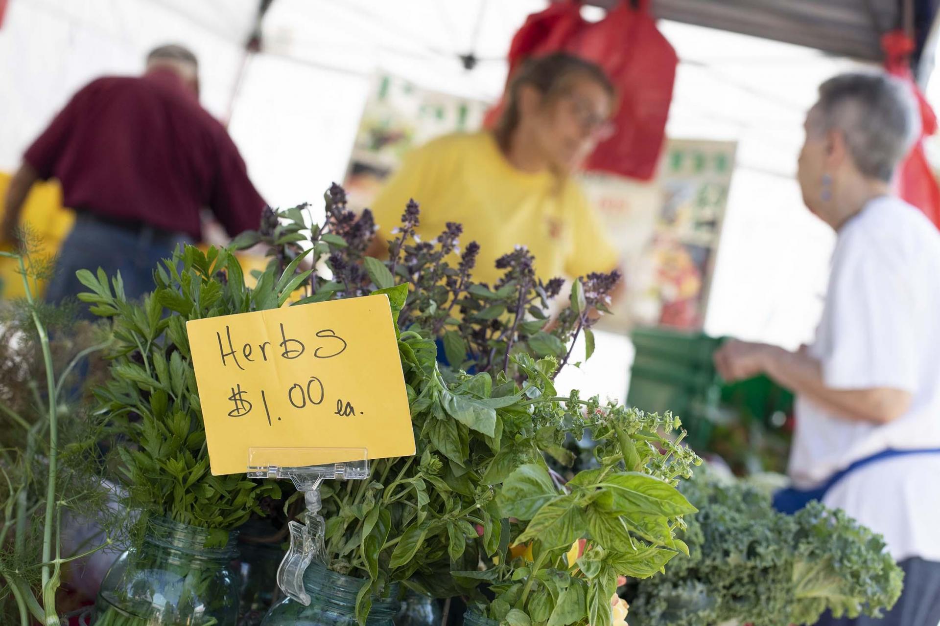 Herbs for sale at a farmers market.