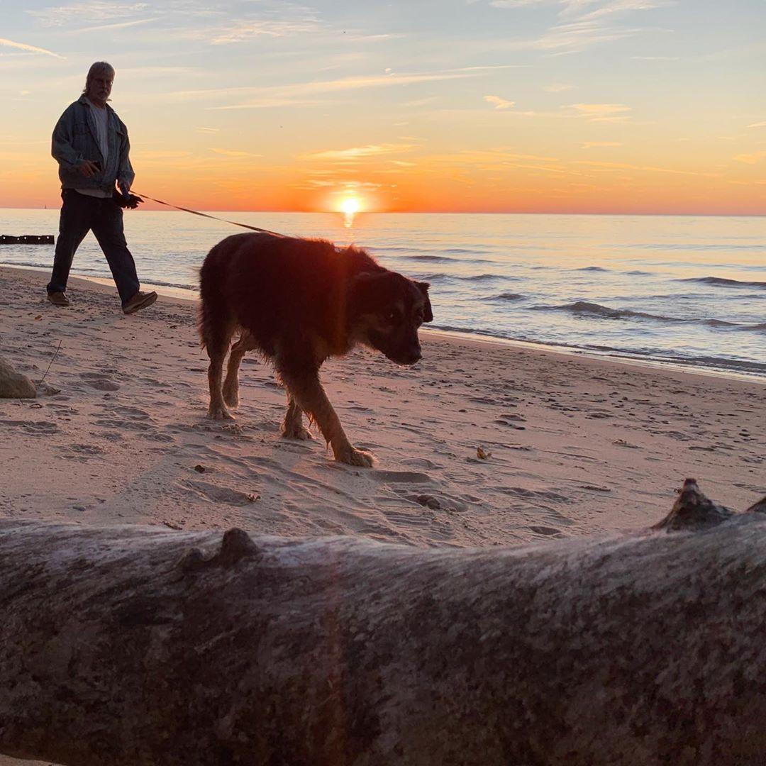 A person walking a dog on a beach at sunset.