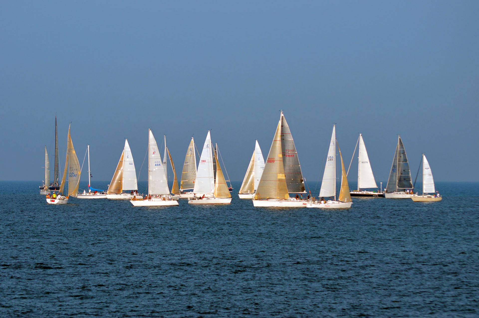 A bunch of sail boats