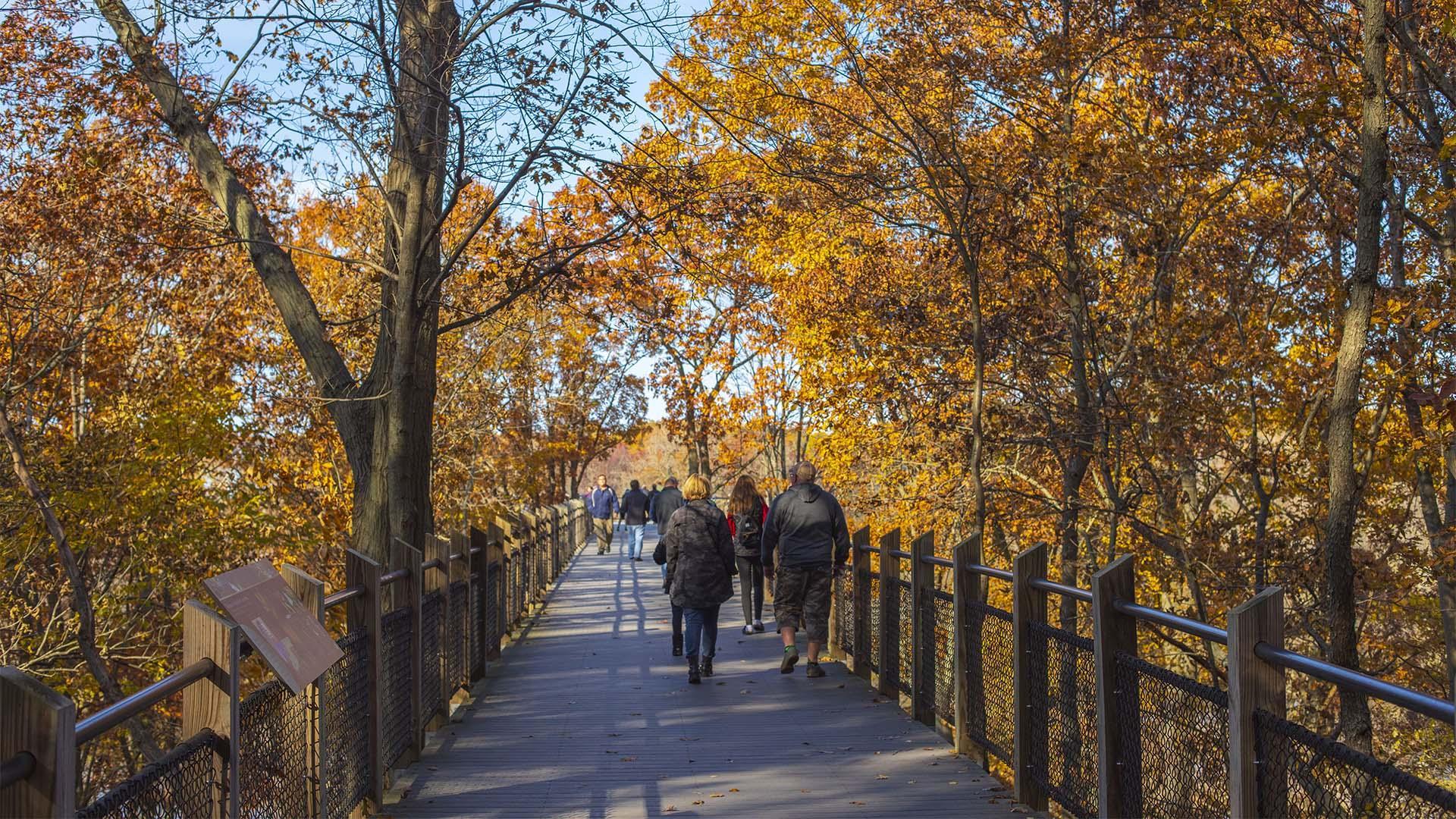 Galien River County Park in the Fall.