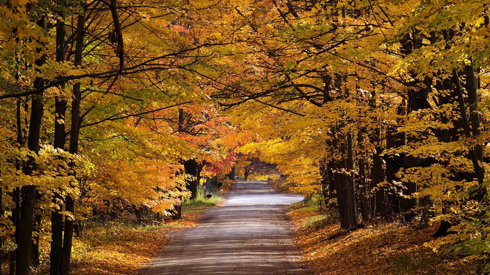 A country road in the Fall.