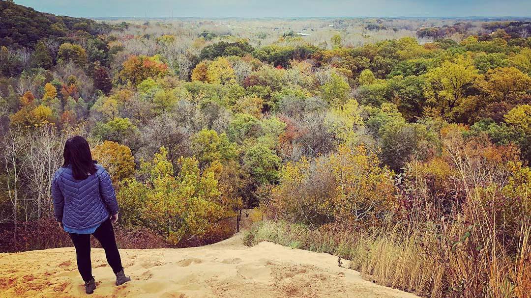 Fall at Warren Dunes - view of tree tops from the top of a dune.