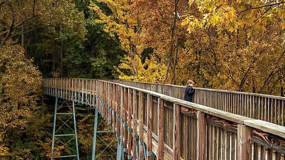 Fall at Sarett Nature Center - a view from the Tree Top Walkway.