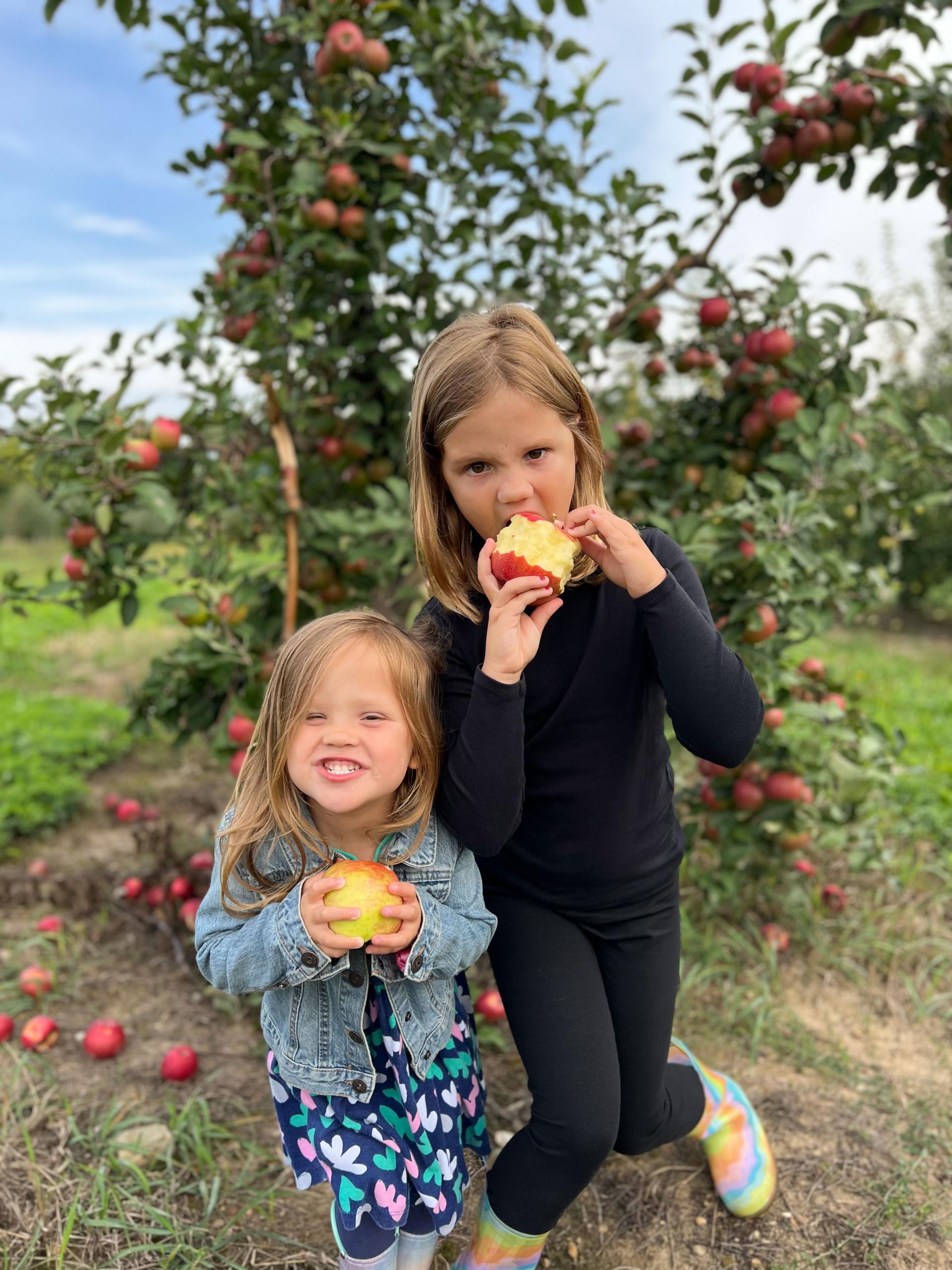 Davis Girls Stovers Apples