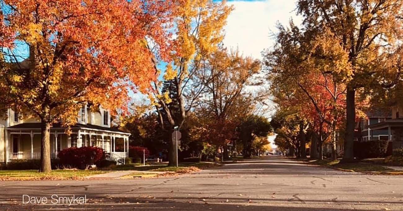 Fall color on State Street in St. Joseph, MI