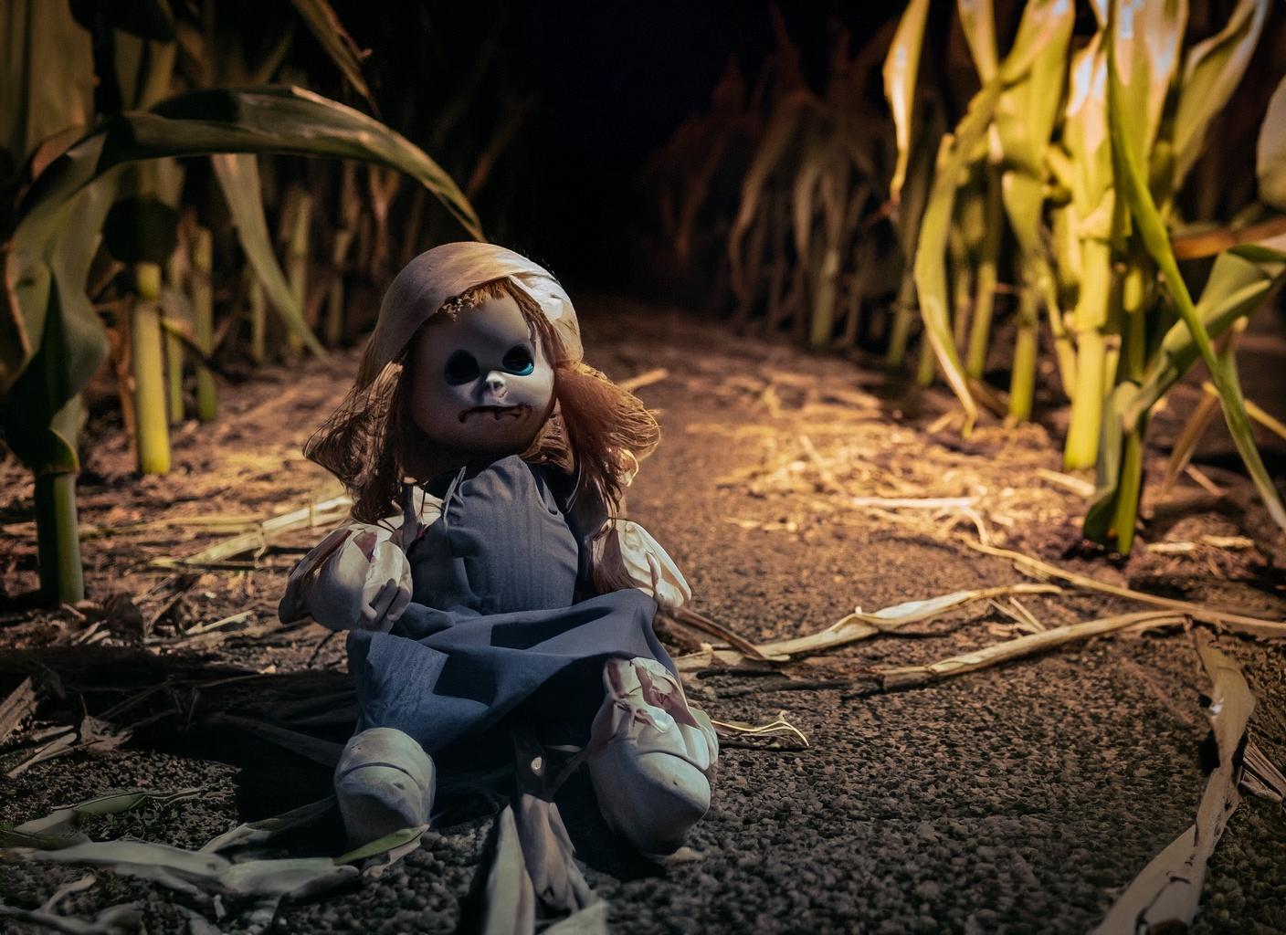 A scary doll in a corn maze at night.