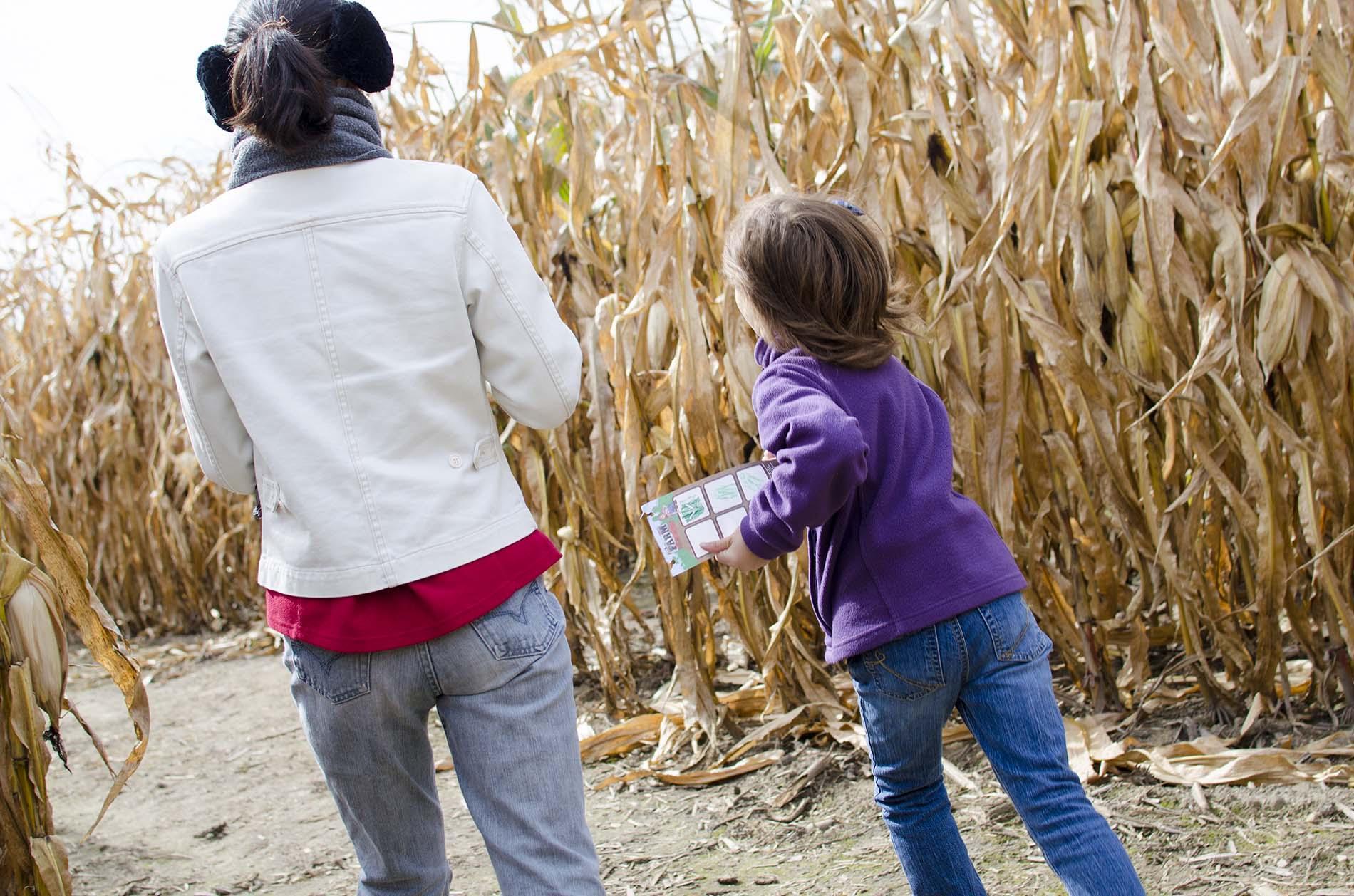 A mother and child enjoying a corn maze.