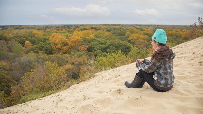 Fall view of tree tops at Warren Dunes