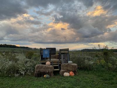 View of the farm with pumpkins