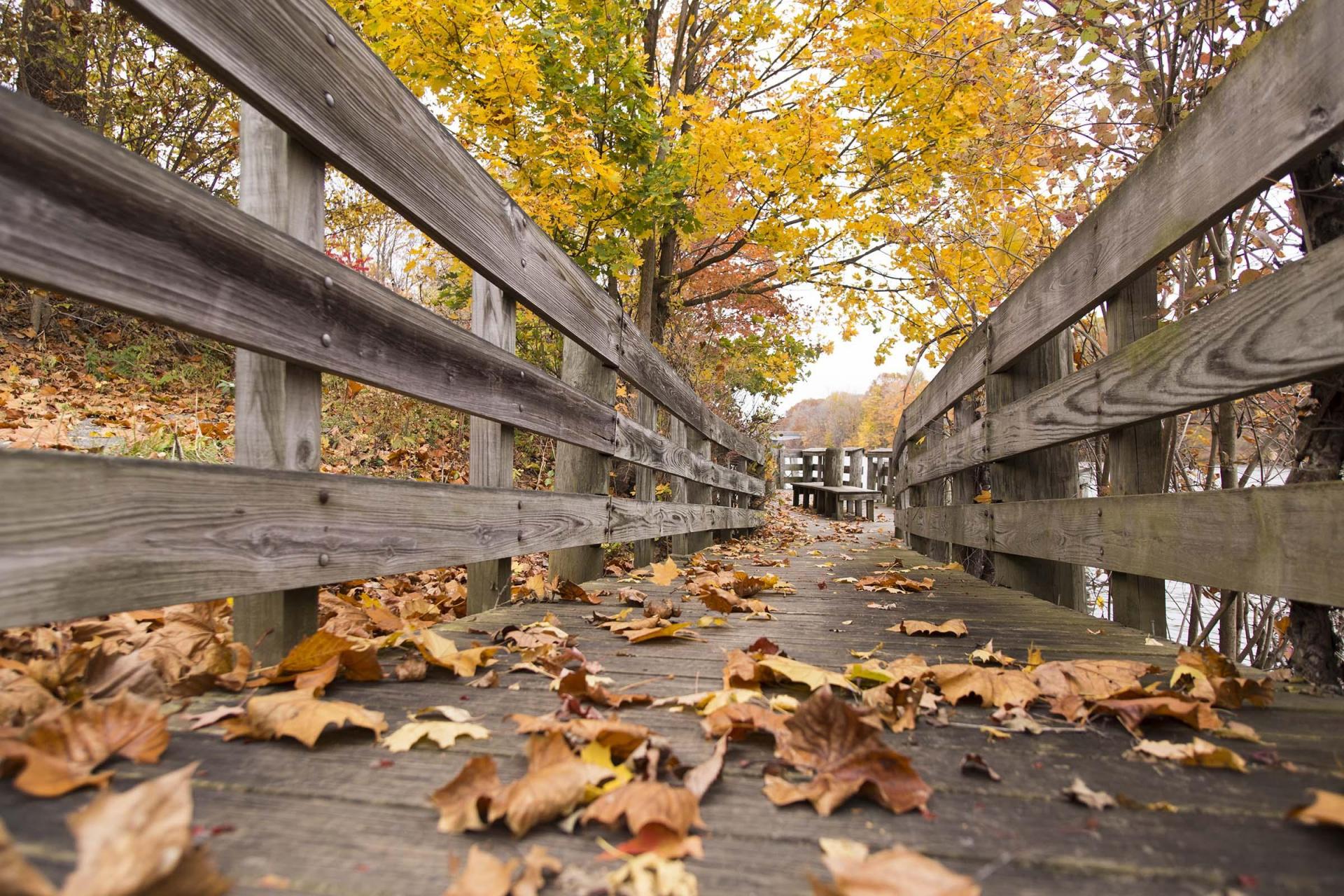 southwest-michigan-fall-color-report-southwestern-michigan-tourist