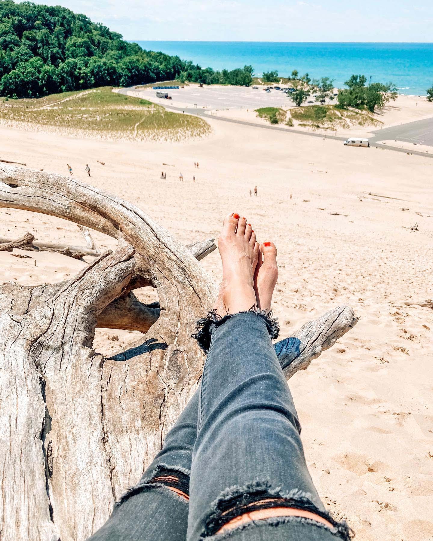 View from a dune at Warren Dunes