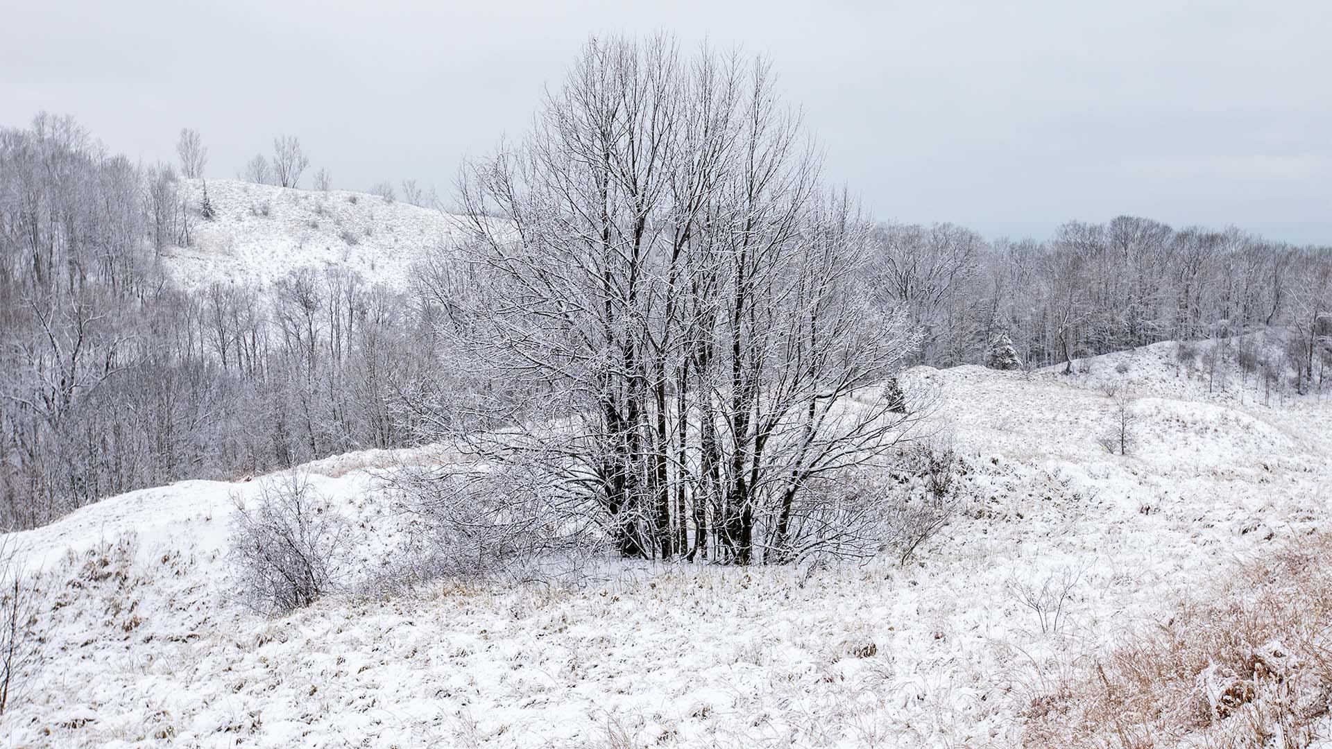 Winter at Warren Dunes State Park