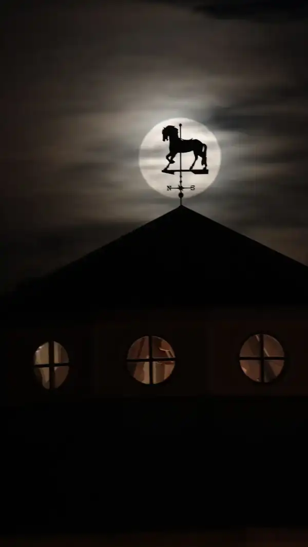 Moon and the Silver Beach Carousel weather vane. 