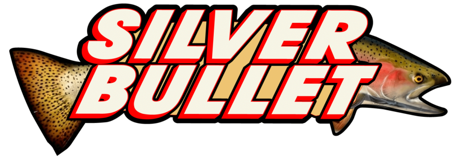 silver bullet charter fishing