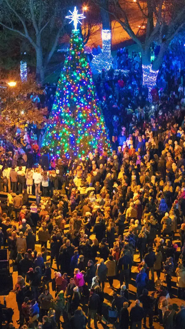 Tree lighting in St. Joseph, MI.