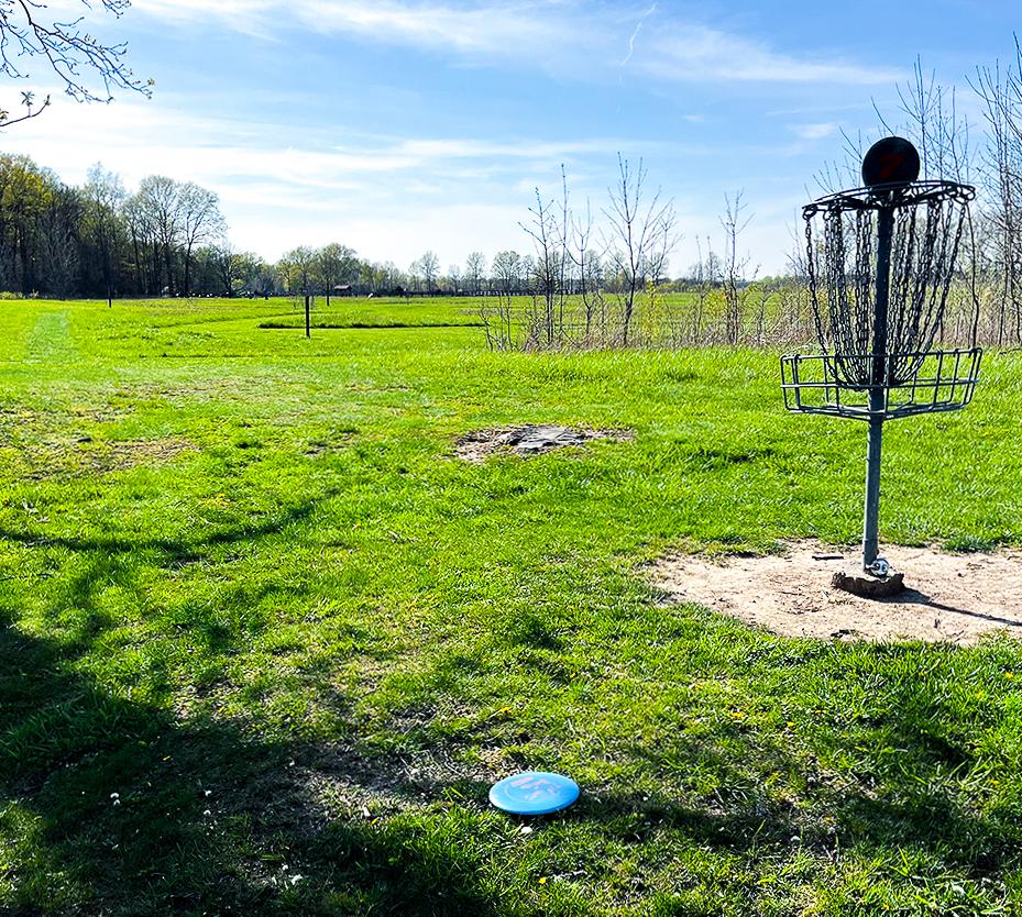 disc laying beside cage on the ground