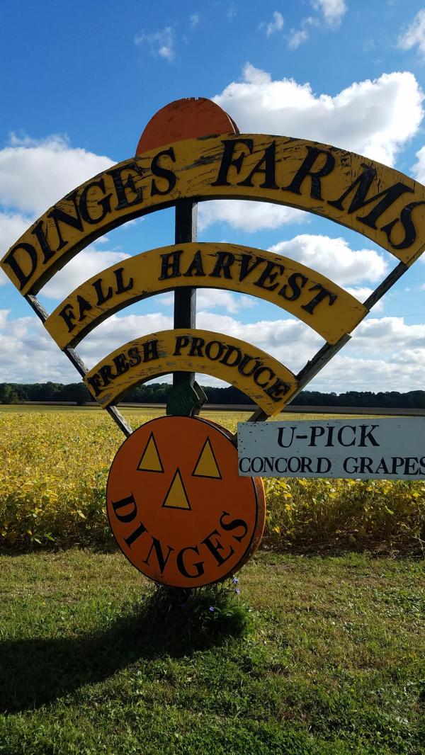 Dinges Fall Harvest 