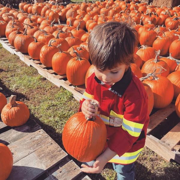 A child holding a pumpkin.