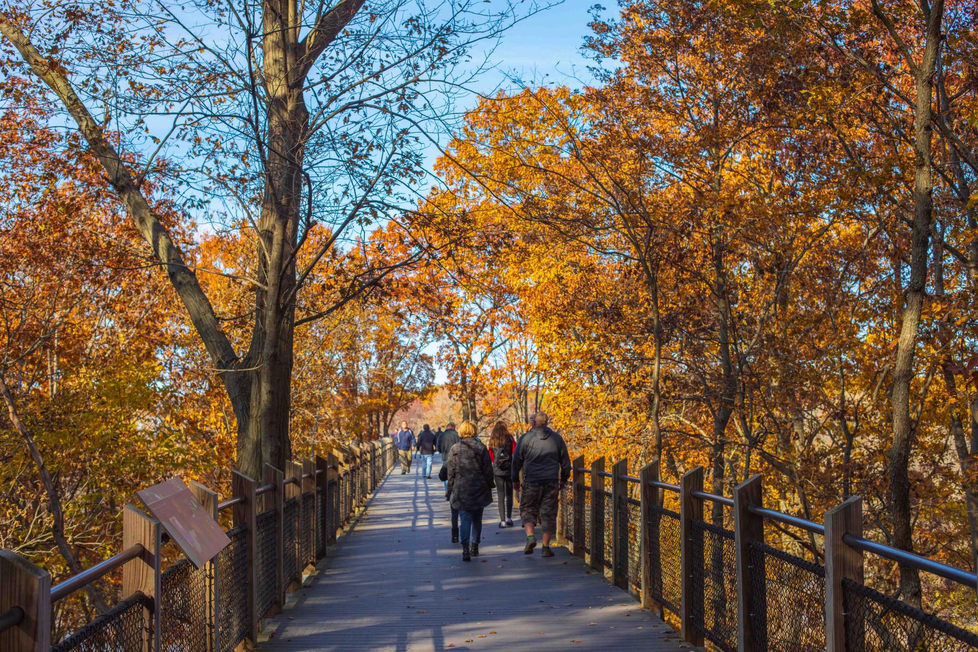 Hiking Fall stroll in Galien River County Park 