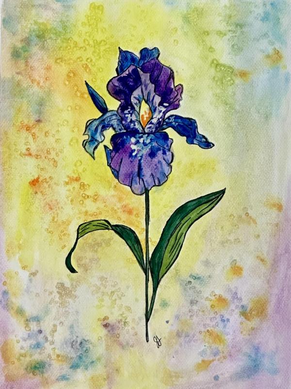 Morning Iris Gouache Class